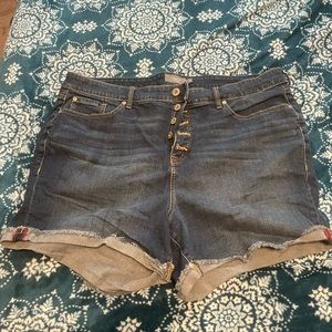 Torrid jean shorts with button fly